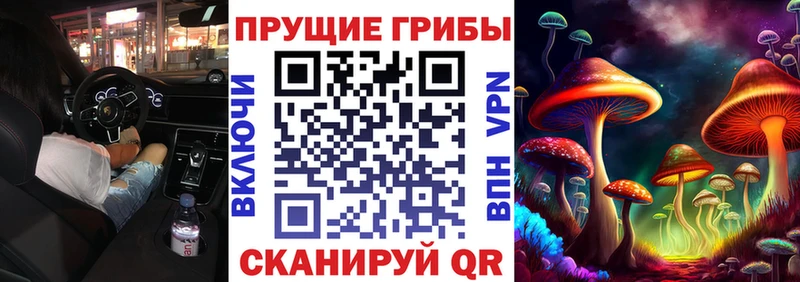 Псилоцибиновые грибы Psilocybine cubensis  Спас-Деменск 